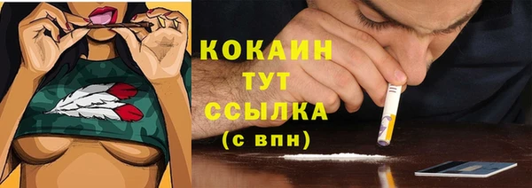 прущие крисы Абаза
