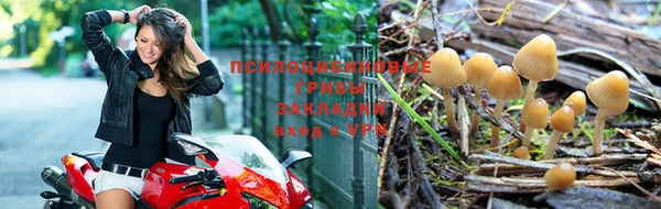 прущие крисы Абаза